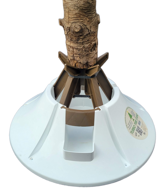 Turbo Tree Stand